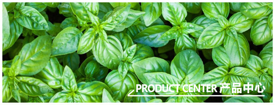 無機水涂產(chǎn)品中心